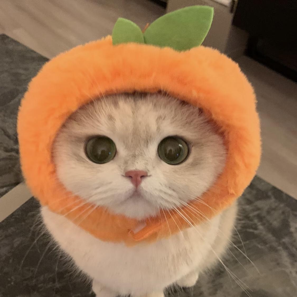 逃跑计划-夜空中最亮的星（DJ降调）0.9x（冬拾呀 remix）