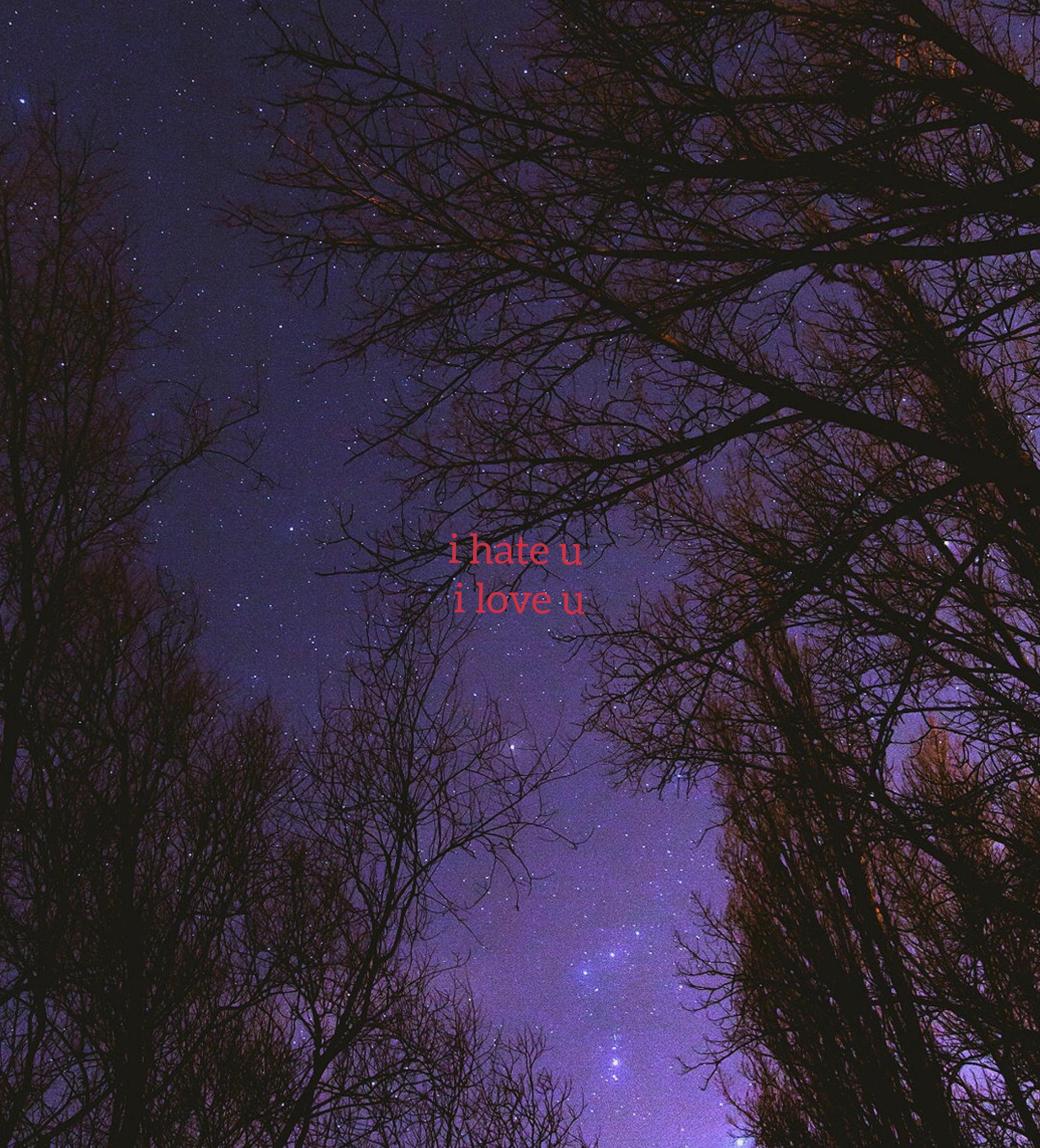 Sean Kingston (尚恩-金斯顿)