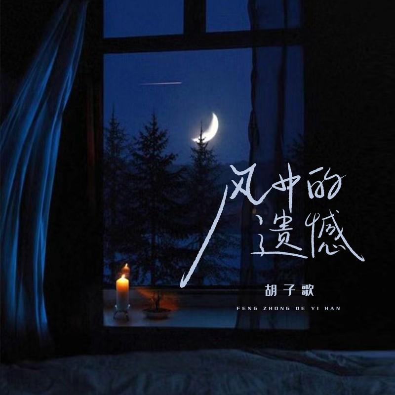 风中的遗憾(DJ版)封面