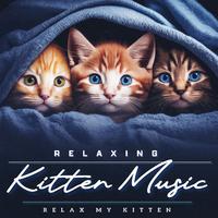 Relaxing Kitten Music