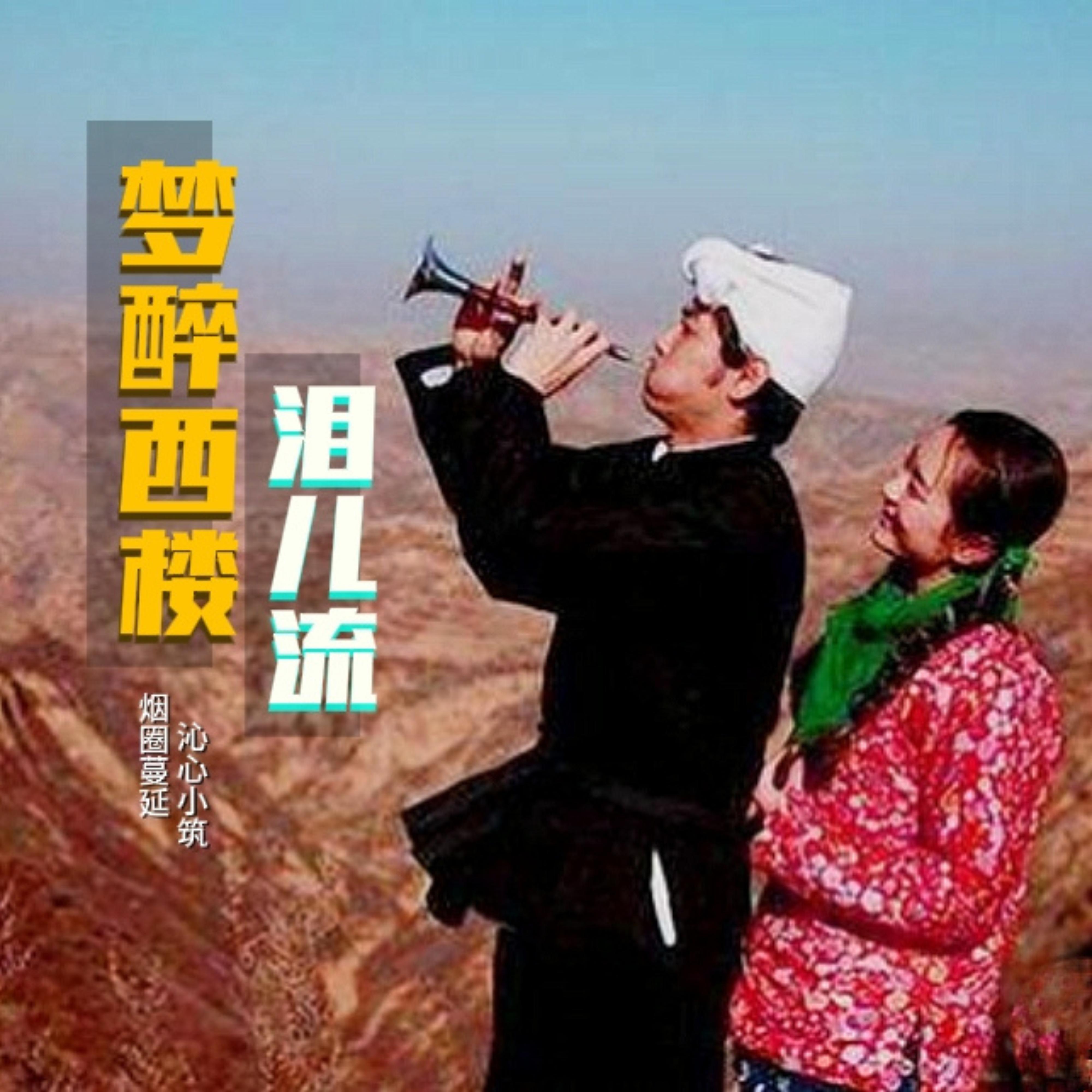 梦醉西楼泪儿流 (对唱版伴奏)封面