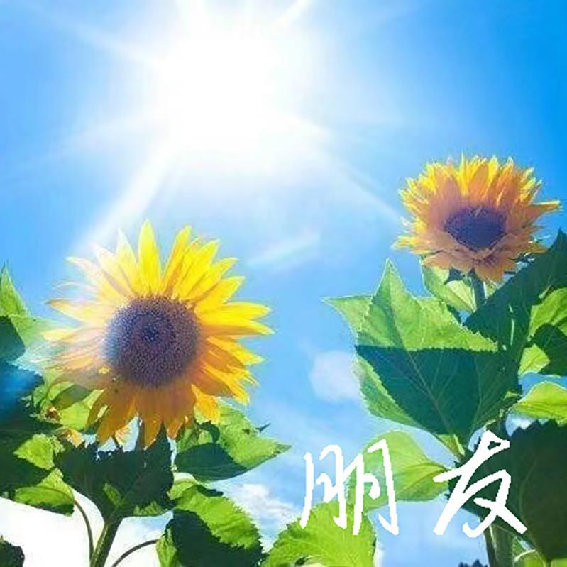 谭咏麟-朋友（粤语女声版）（徐小兰 remix） 伴奏封面