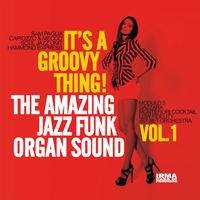 It's a Groovy Thing! Vol..1 (The Amazing Jazz Funk Organ Sound)