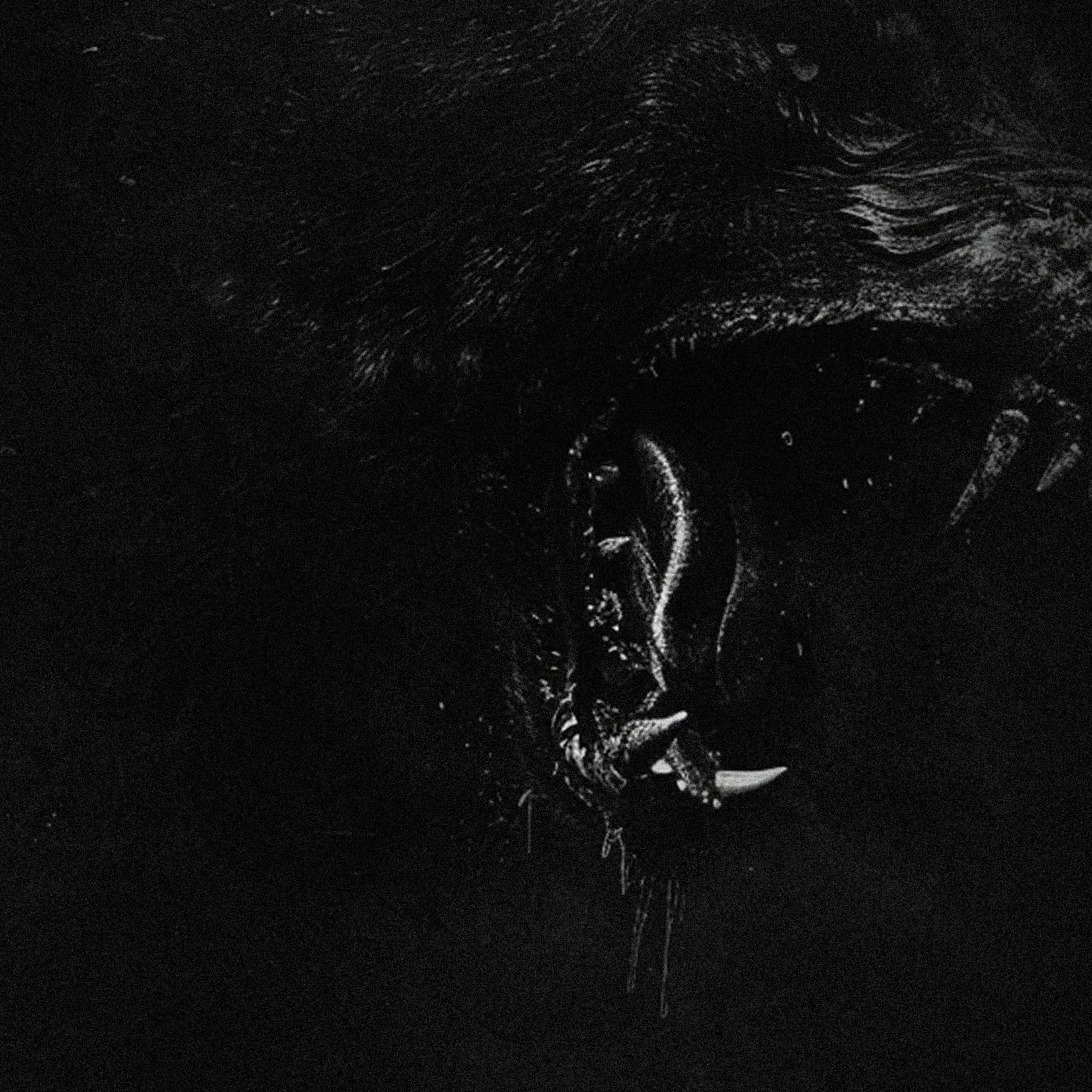 STAND ASIDE (feat. lophiile)