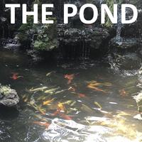 The Pond