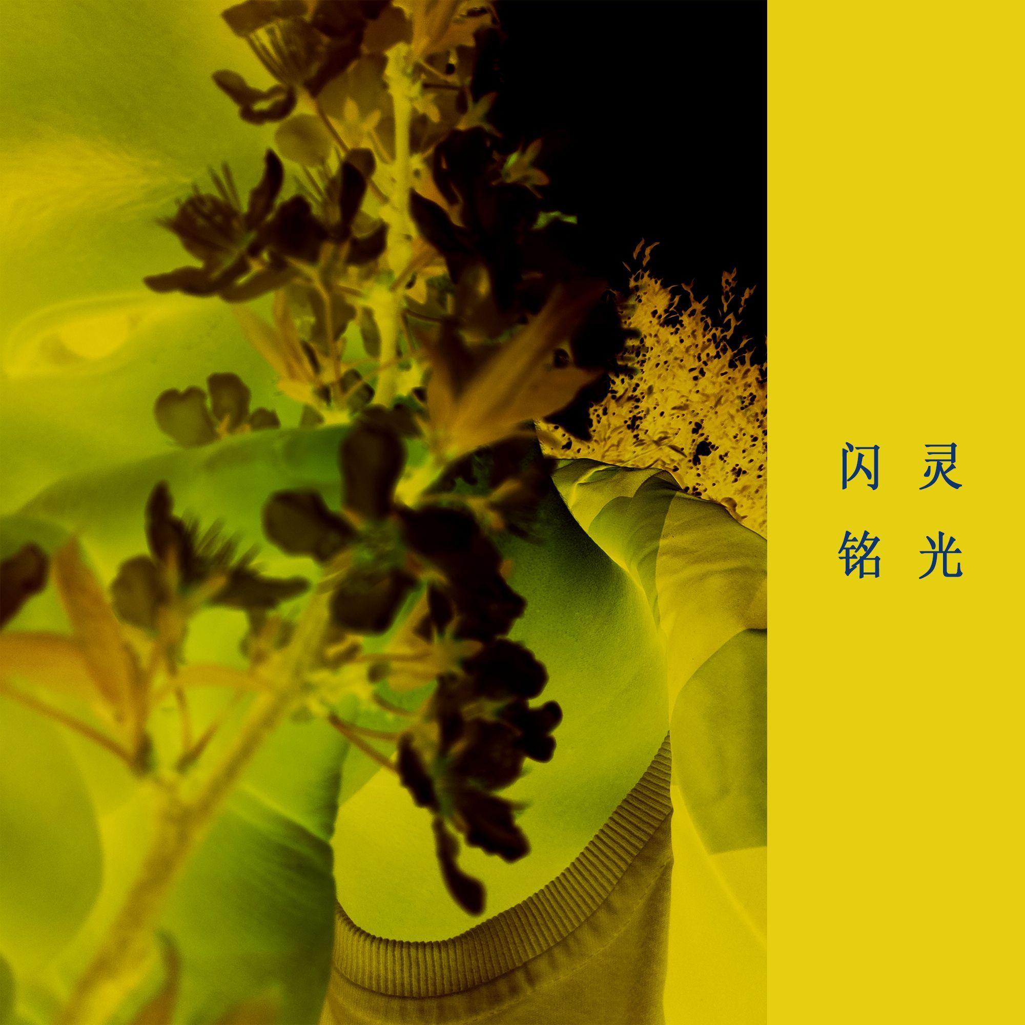 闪灵 - 铭光封面