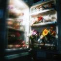 银色山泉专辑