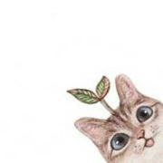 -微勒个博的王宇辰