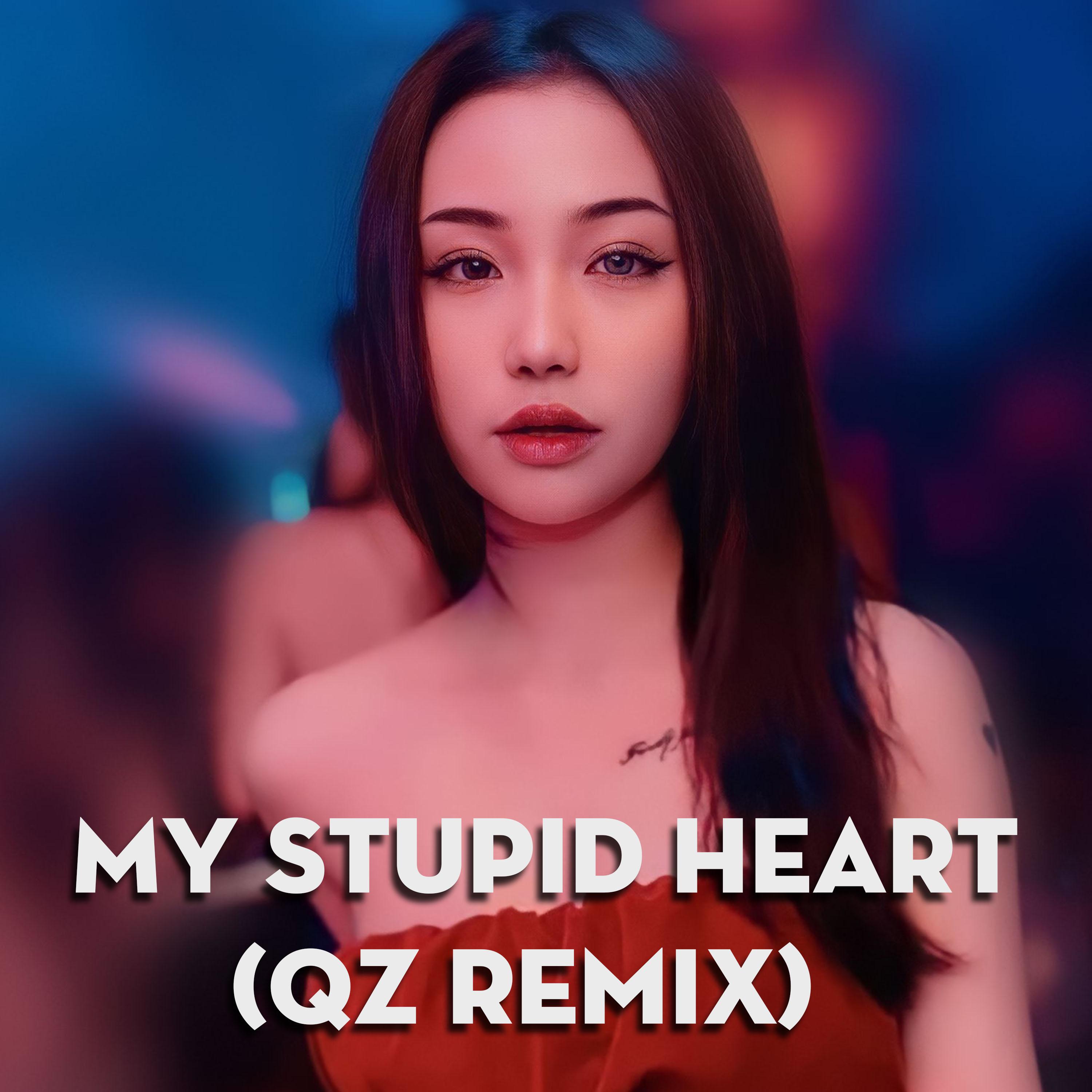 My Stupid Heart Remix Qz Mii