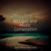 50 Light and Music Compilation