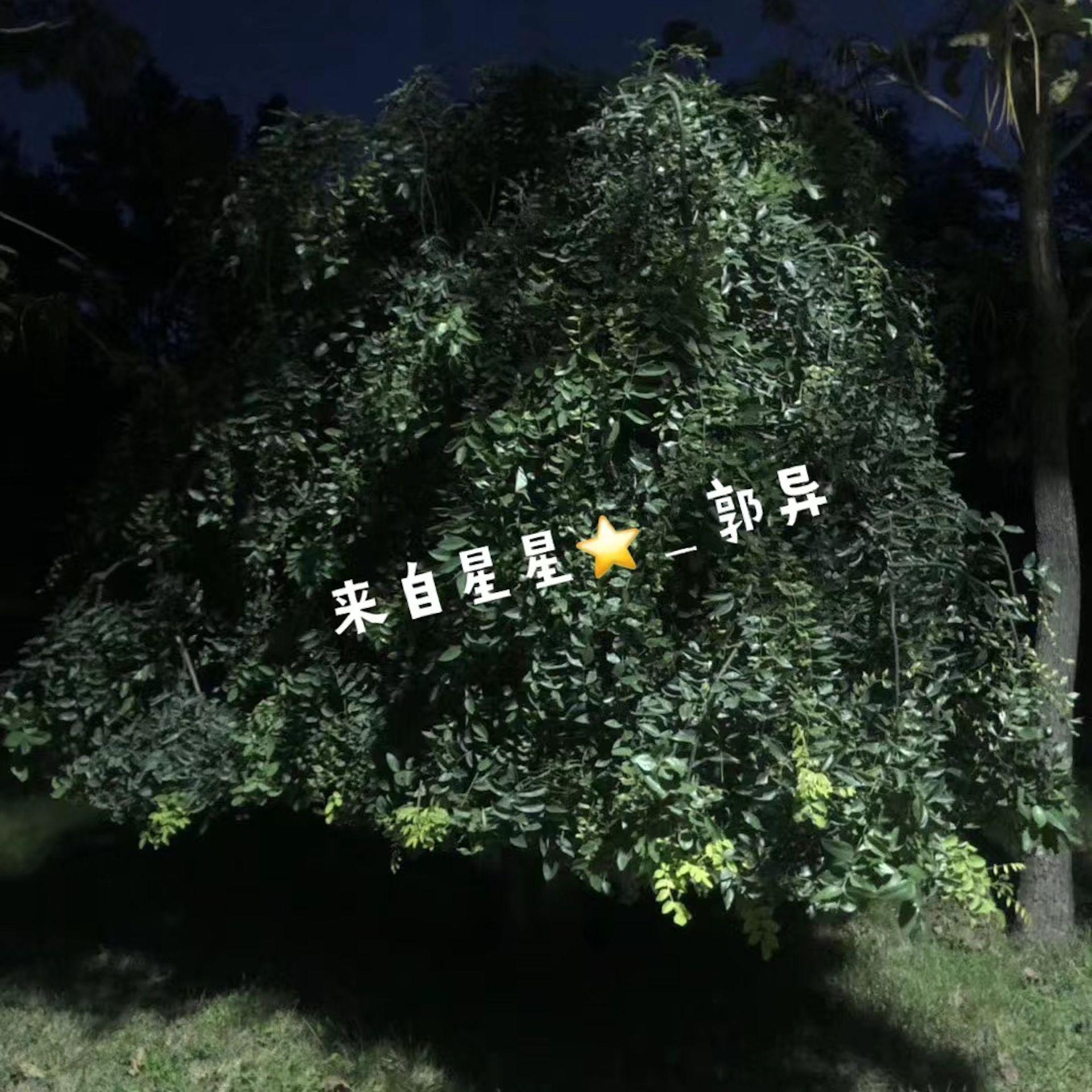 来自星星封面