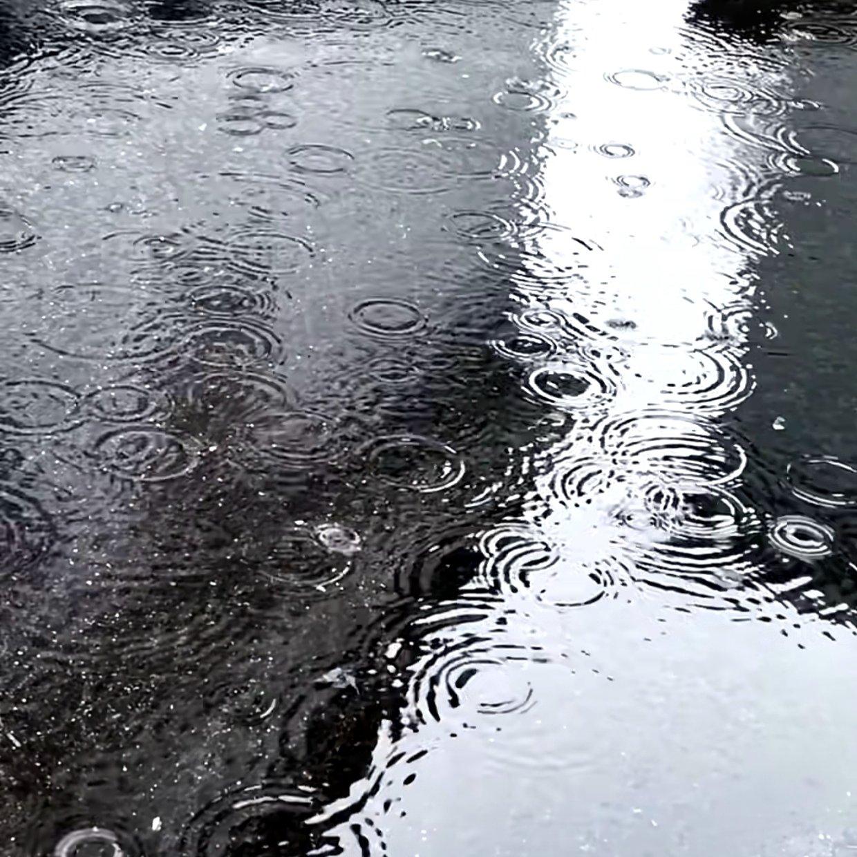 雨你封面