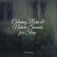 Calming Rain & Nature Sounds for Sleep