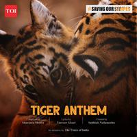 ‘Tiger Anthem’ by The Times Of India