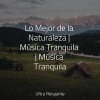 Lo Mejor de la Naturaleza | Música Tranquila | Música Tranquila