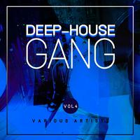 Deep-House Gang, Vol. 4