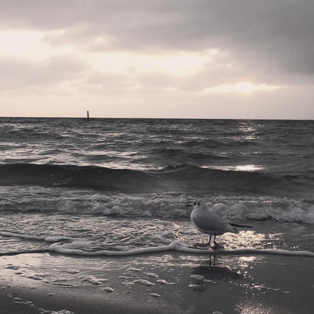 The Chainsmokers-红色高跟鞋（DJ阿海 remix）