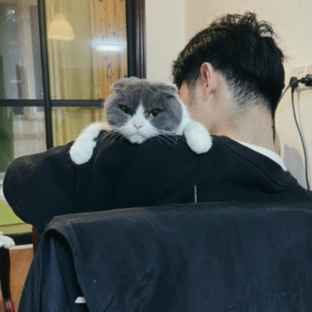 小陈今天搞赢了不咯