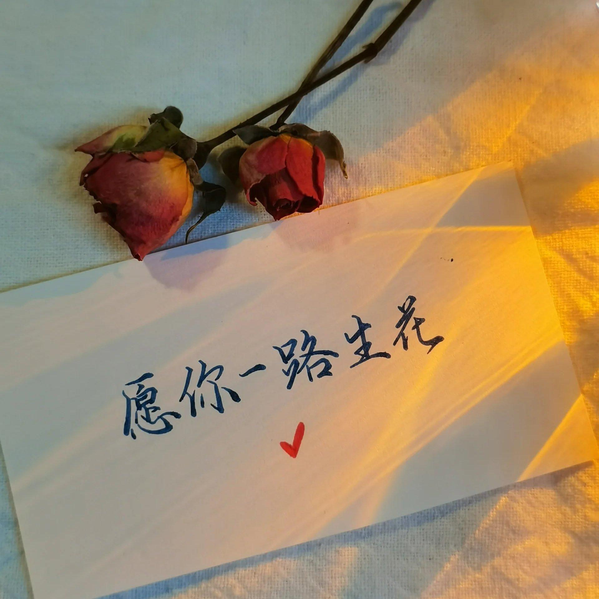爱过你的人封面