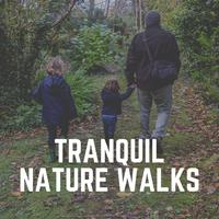 Tranquil Nature Walks