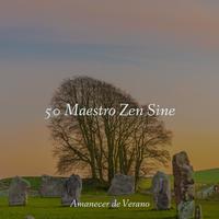 50 Maestro Zen Sine