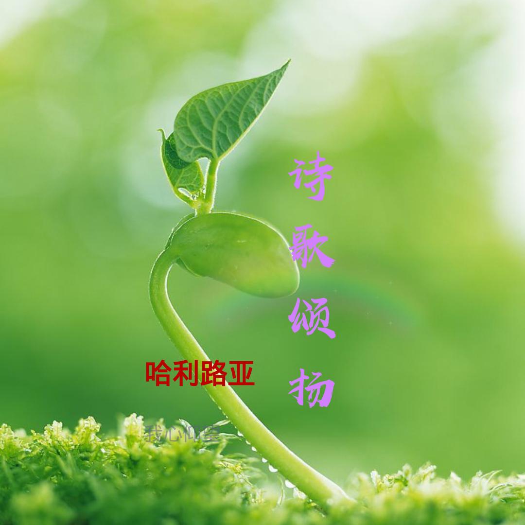 你是医治的神(cover:小草)