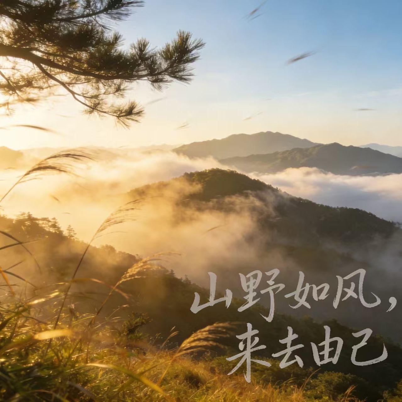 瑕疵封面