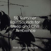 50 Summer Rain Sounds for Sleep and Chill Ambience