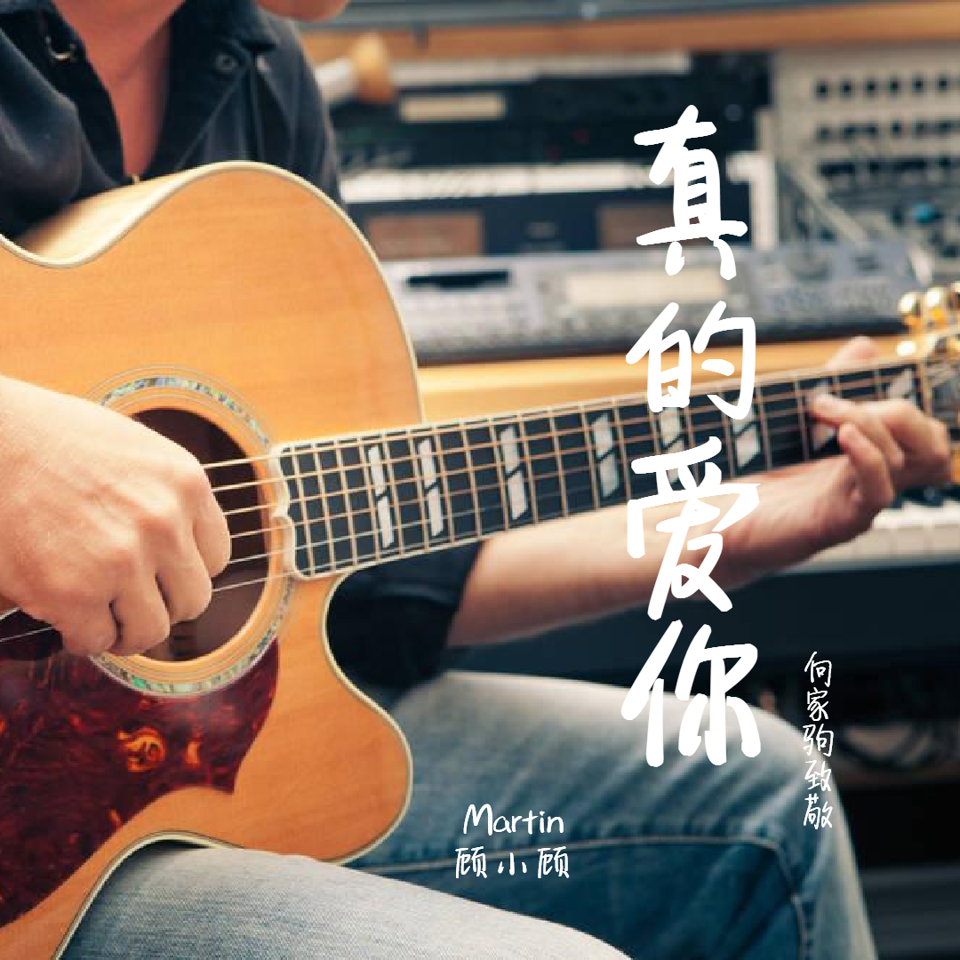顾稚蔚-真的爱你(Remix)封面