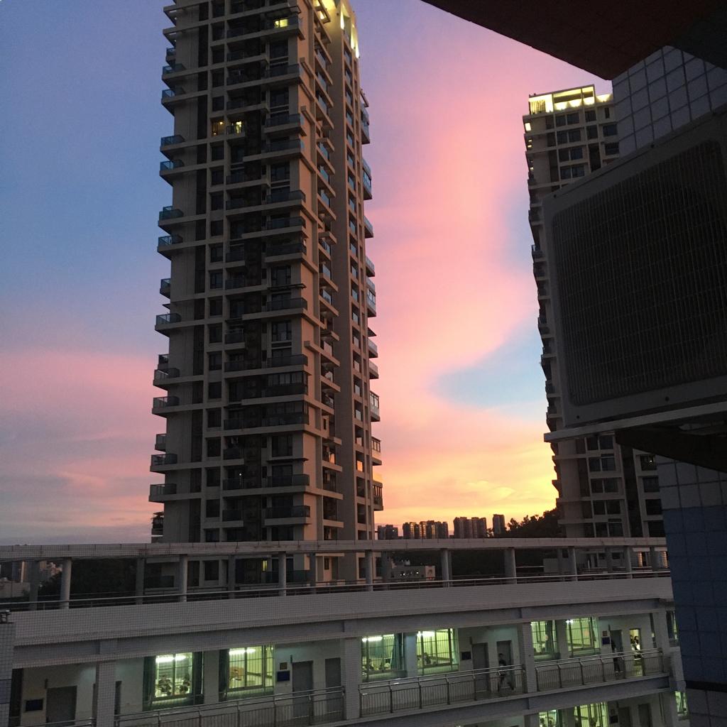 「M o o n q u a k e s 」