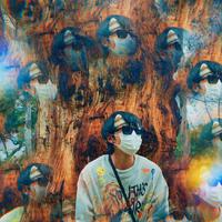 SoDance