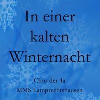 Chor der 4a der MMS Lamprechtshausen