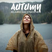 Autumn Relaxing Rain Atmosphere