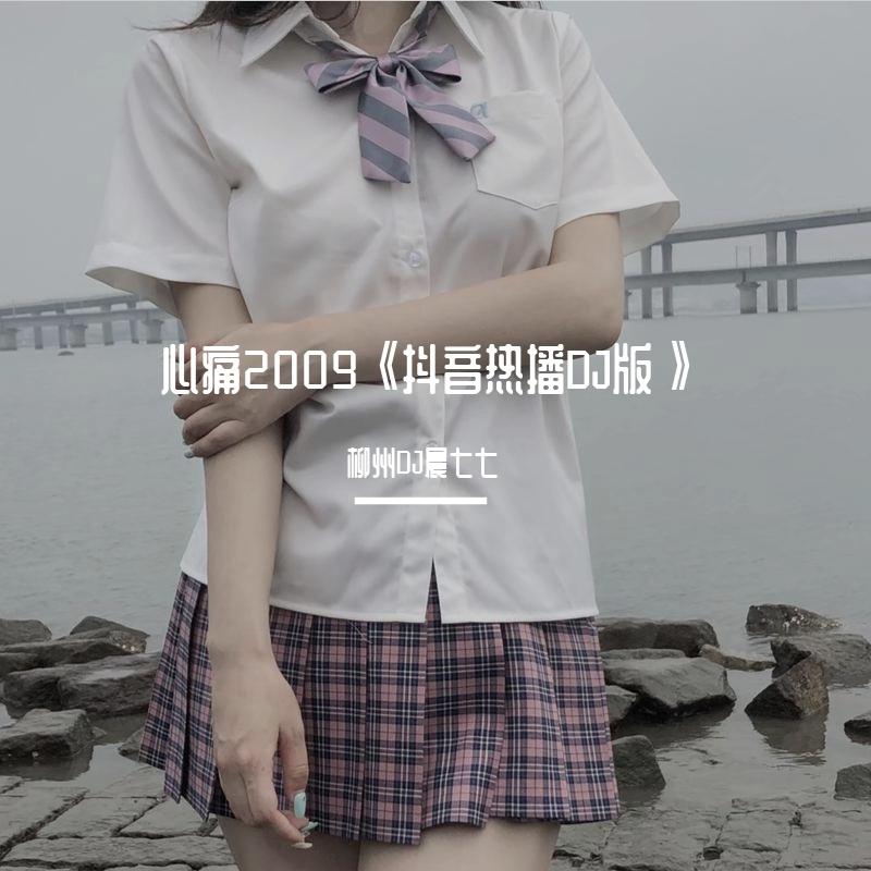 心痛2009 DJ版封面