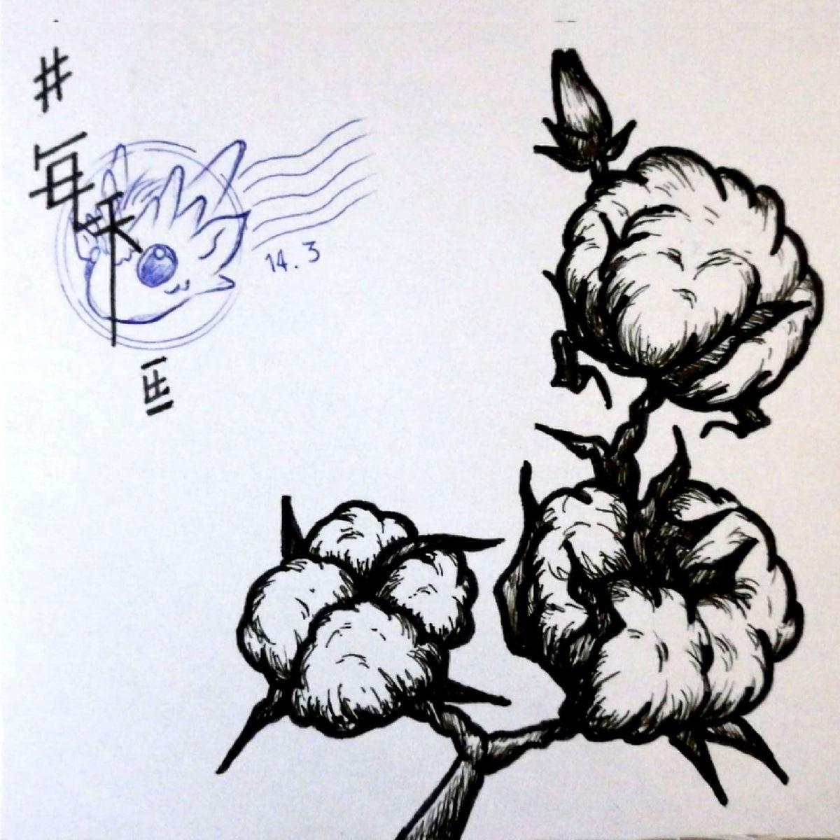song-img