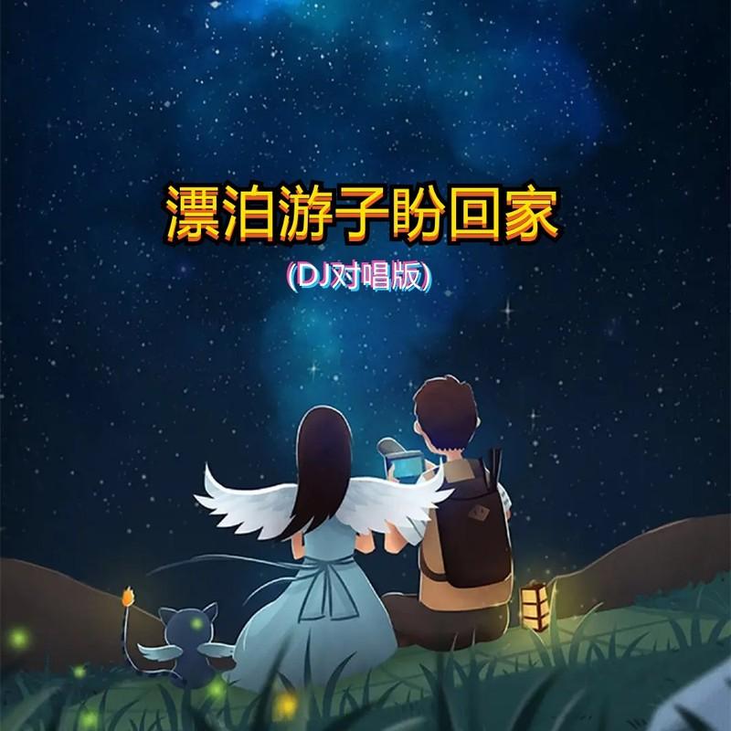 漂泊游子盼回家DJ (对唱版伴奏)封面