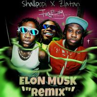 Elon Musk (feat. Fireboy DML) [Remix]