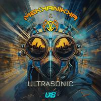 Ultrasonic