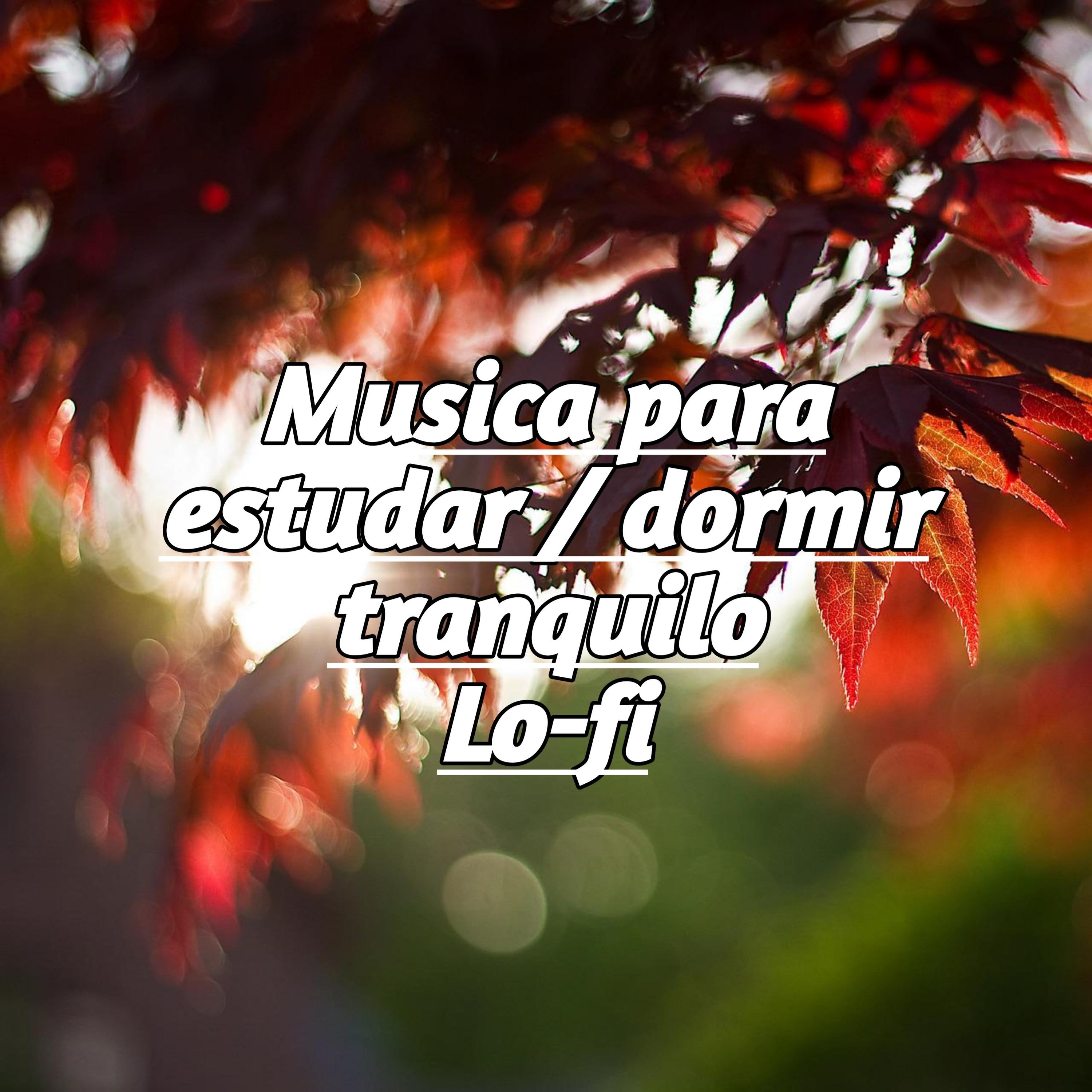 Musica para Estudar Lo Fi