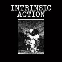 Intrinsic Action