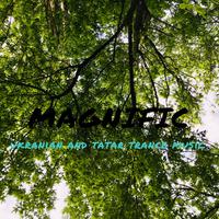 Magnific