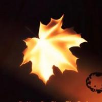 DeVon Lynch资料,DeVon Lynch最新歌曲,DeVon LynchMV视频,DeVon Lynch音乐专辑,DeVon Lynch好听的歌
