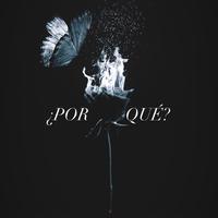 ¿POR QUÉ?