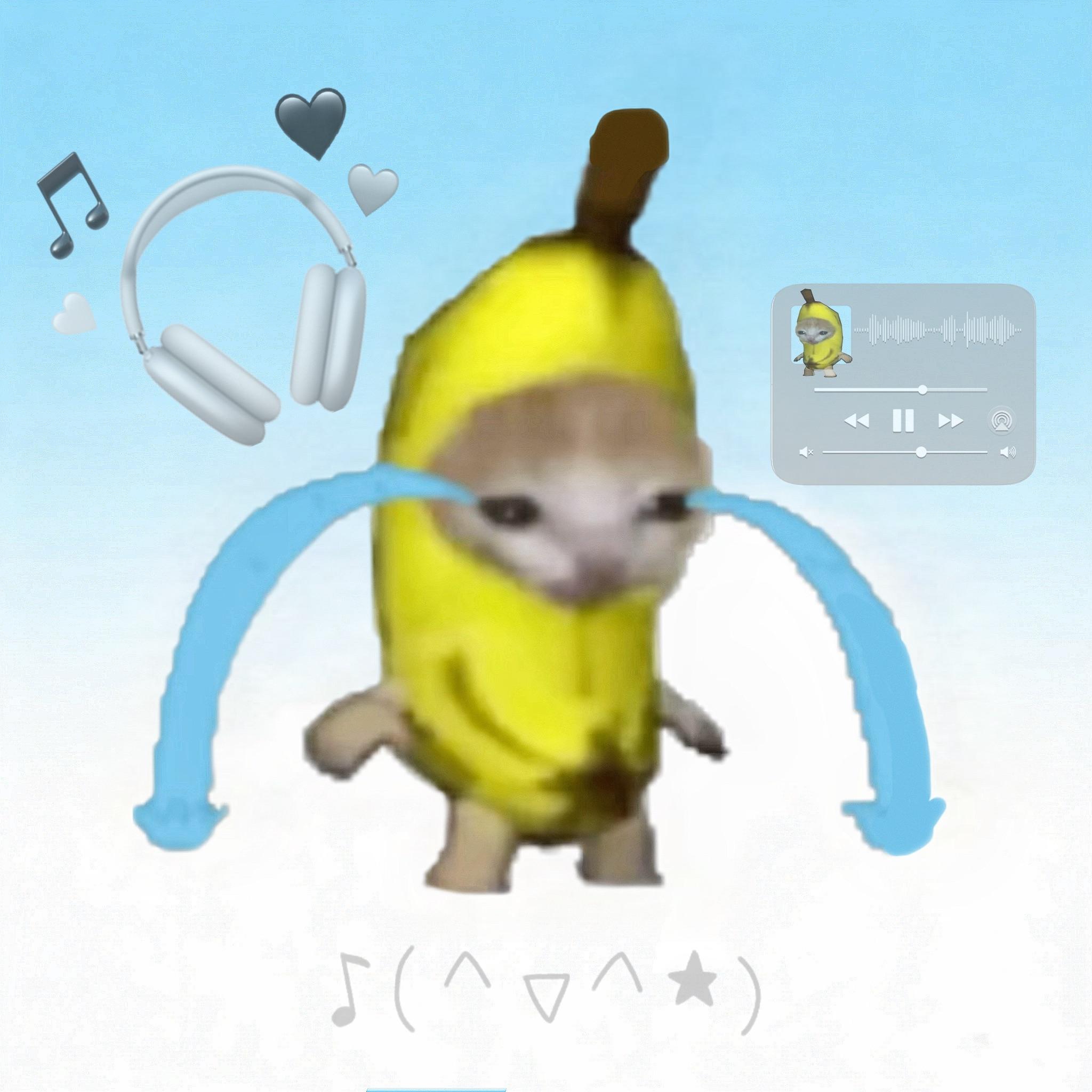 香蕉猫也会擦干眼泪吗