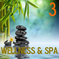 Wellness and Spa, Vol. 3