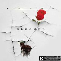 Bloomer