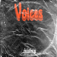 VOICE'S