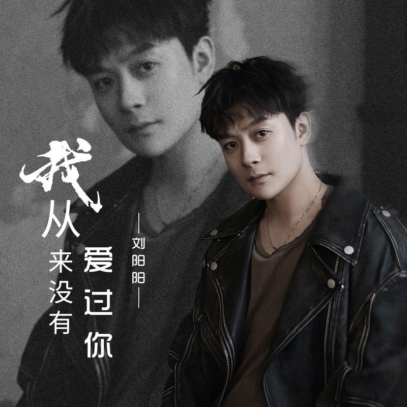 我从来没有爱过你封面