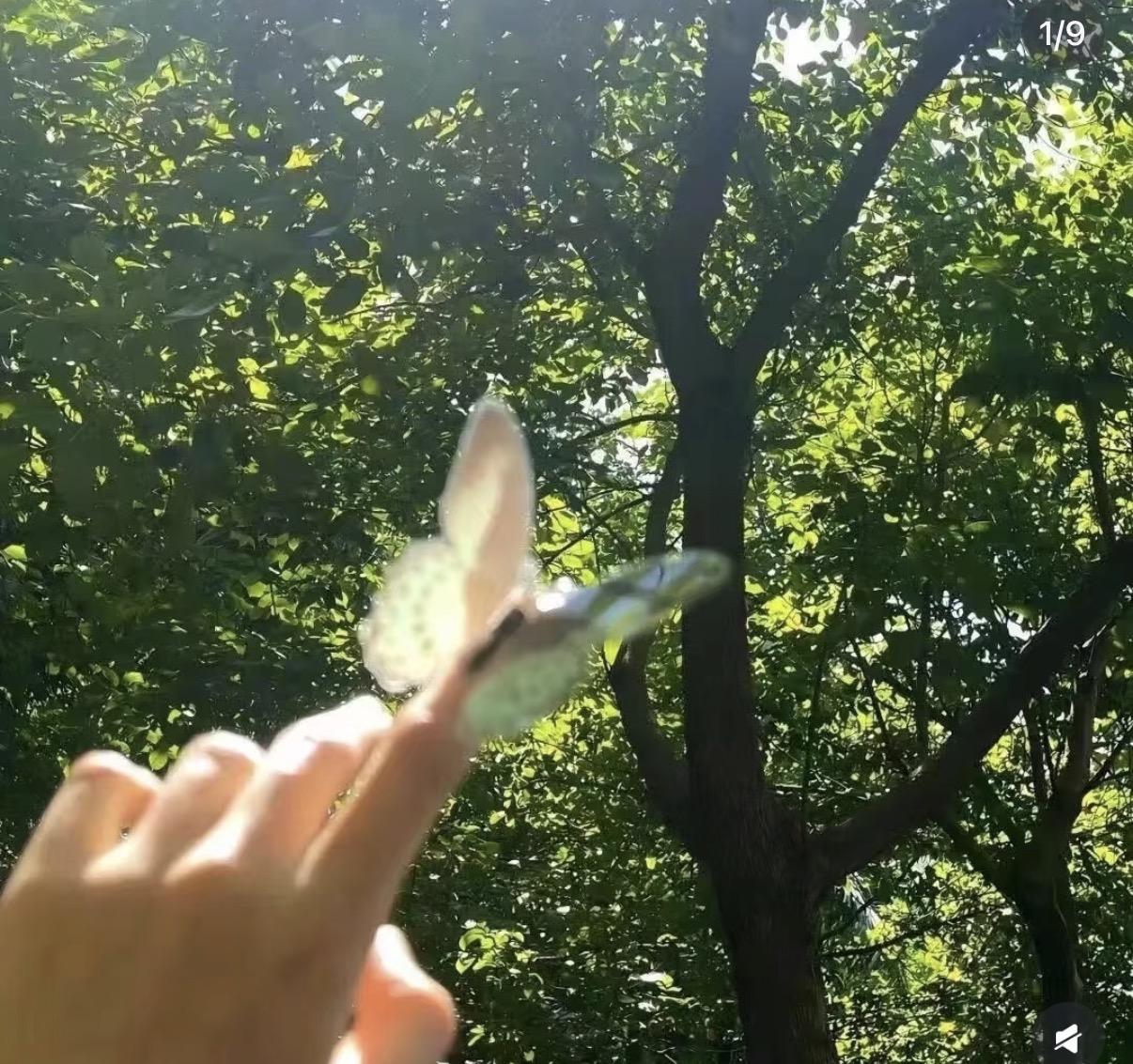 就让岁月开成一朵花封面