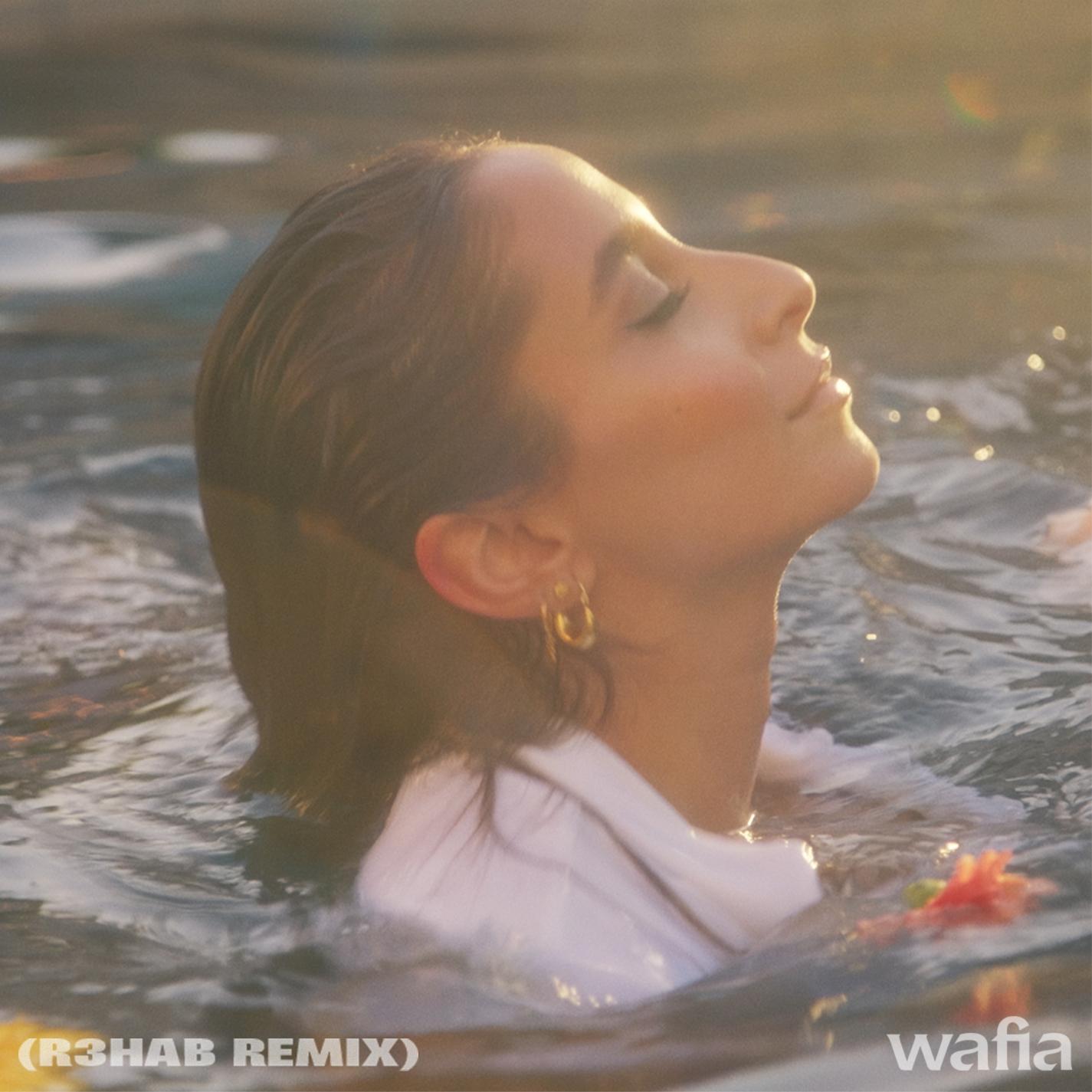 Good Things (R3HAB Remix) - Wafia封面